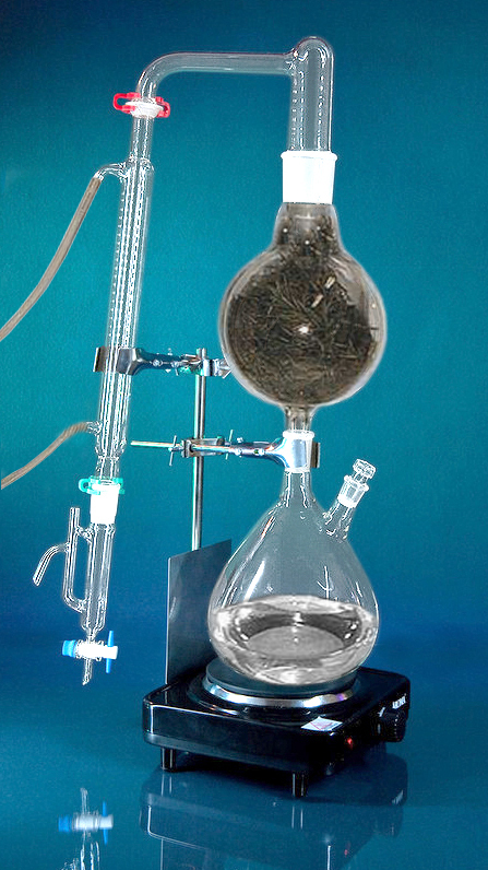 Essential+Oil+Still+for+Sale Details about ESSENTIAL OIL STEAM DISTILLATION KIT * STILL DISTILLER